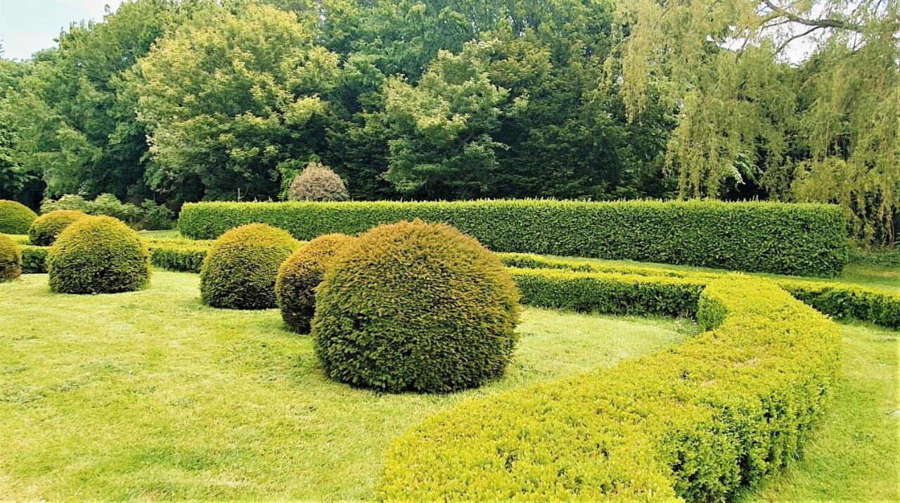 Le Domaine De La Feriere Villa Sallen Eksteriør billede